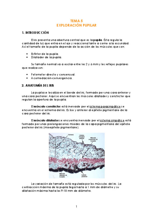 Miniatura del documento TEMA-5-Exploracion-pupilar.pdf