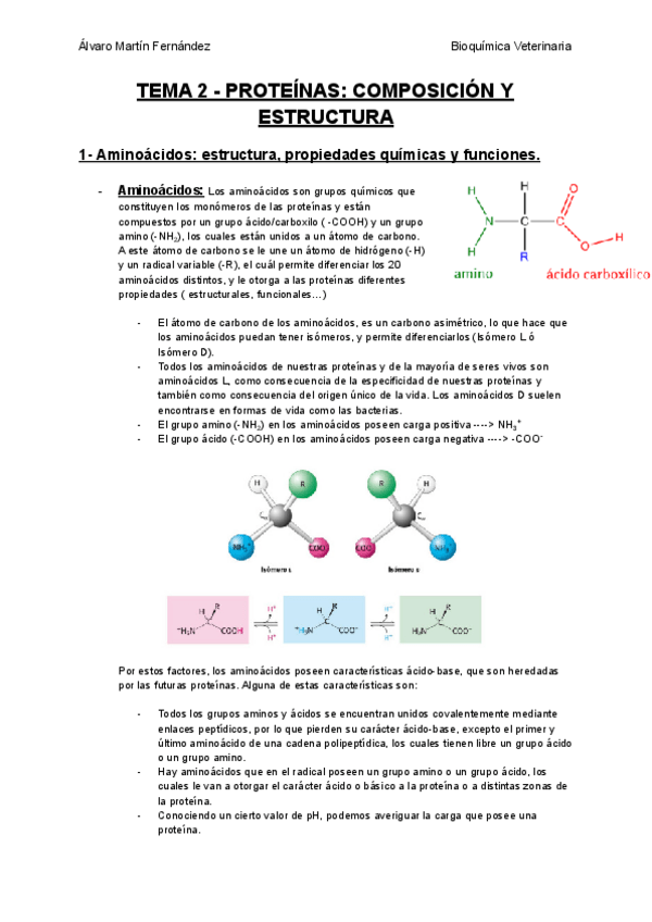 Miniatura del documento TEMA-2-PROTEINAS-COMPOSICION-Y-ESTRUCTURA.pdf