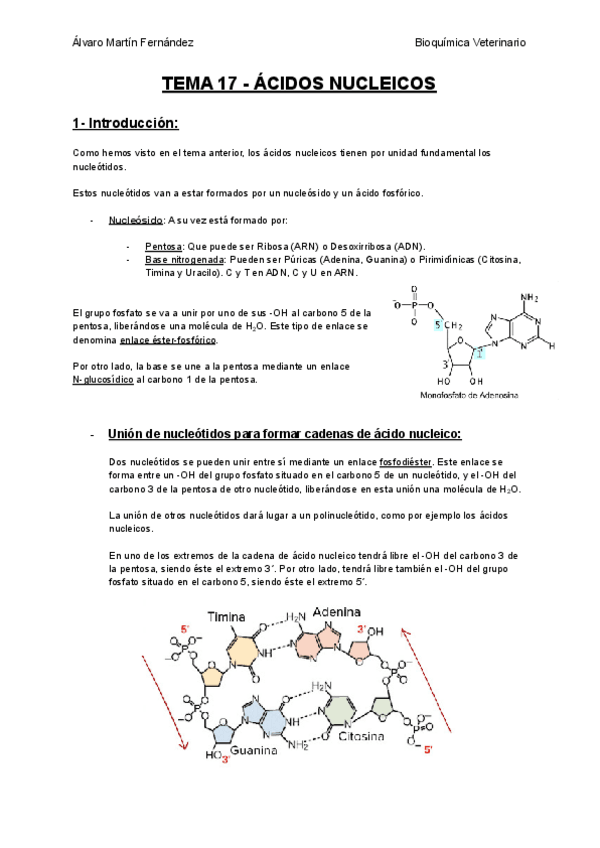 Miniatura del documento TEMA-17-ACIDOS-NUCLEICOS.pdf