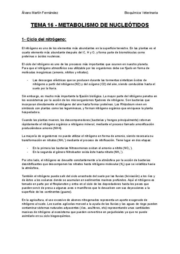 Miniatura del documento TEMA-16-METABOLISMO-DE-NUCLEOTIDOS.pdf