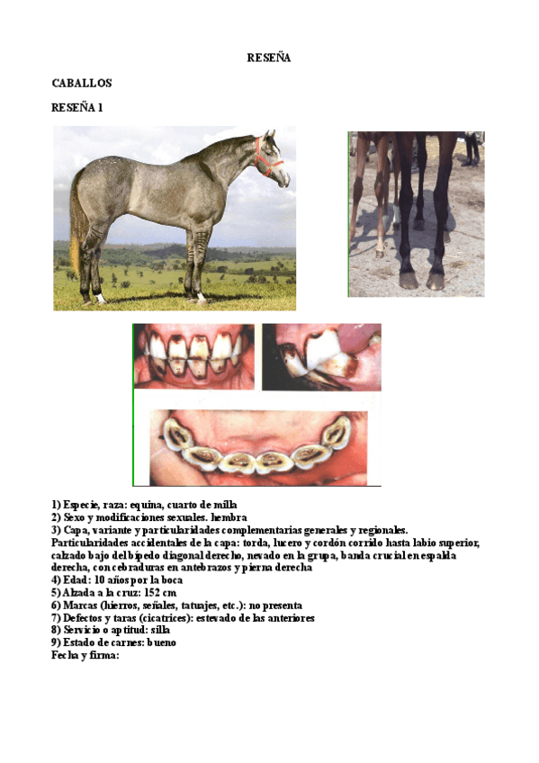 Miniatura del documento RESENAS-UNIDAS-CORREGIDO.pdf