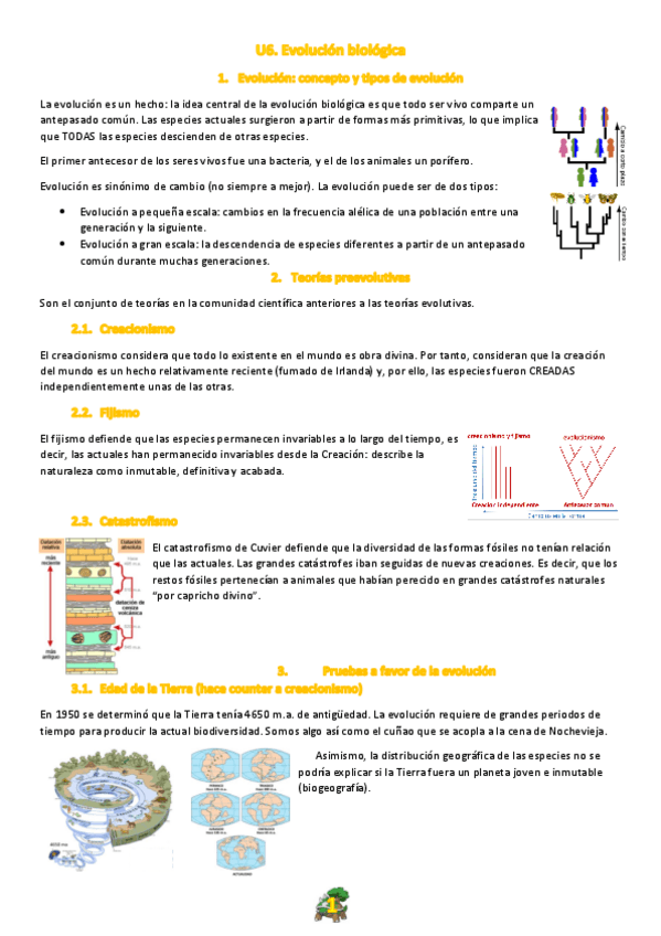 Miniatura del documento 06. Evolución zoológica.pdf