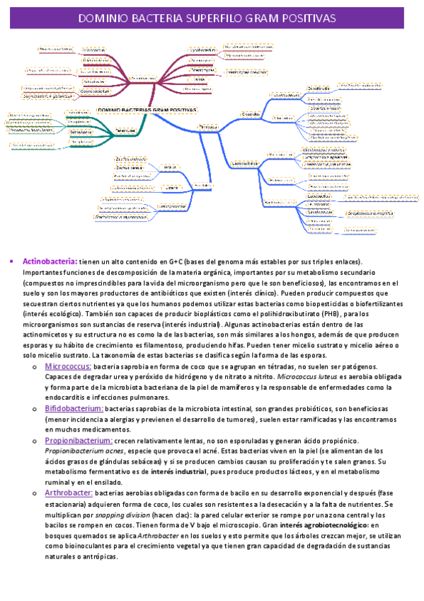 Miniatura del documento bacterias-gram-positivas.pdf