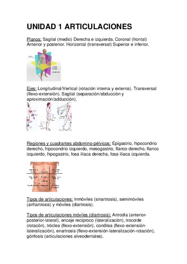 Miniatura del documento ANATOMIA-I.docx