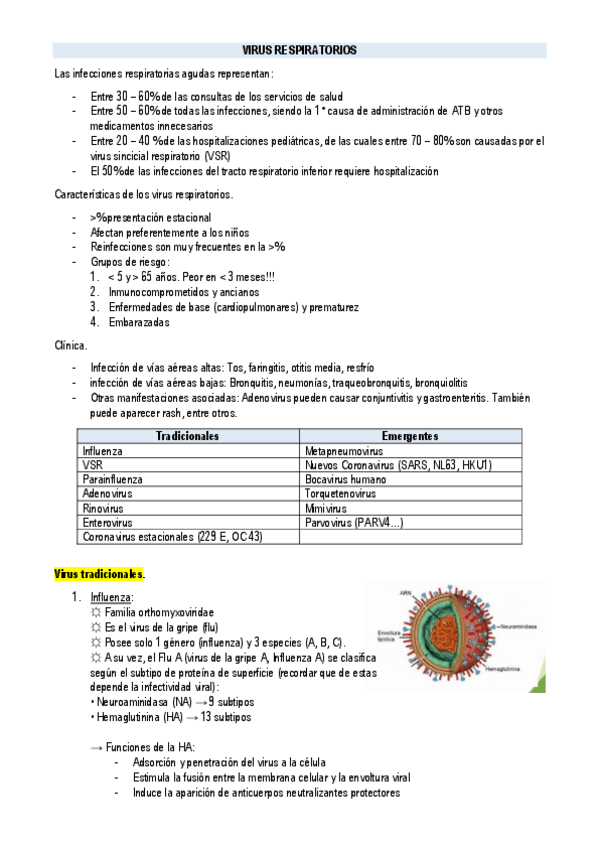 Miniatura del documento VIRUS-RESPIRATORIOS.pdf