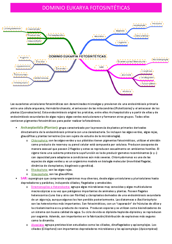 Miniatura del documento eukarya-fotosinteticas.pdf
