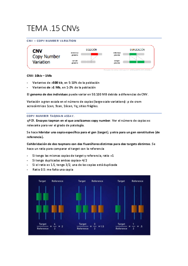 Miniatura del documento DIAGNOSTICO-88-90.pdf