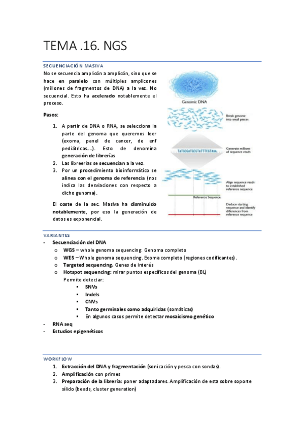 Miniatura del documento DIAGNOSTICO-91-99.pdf