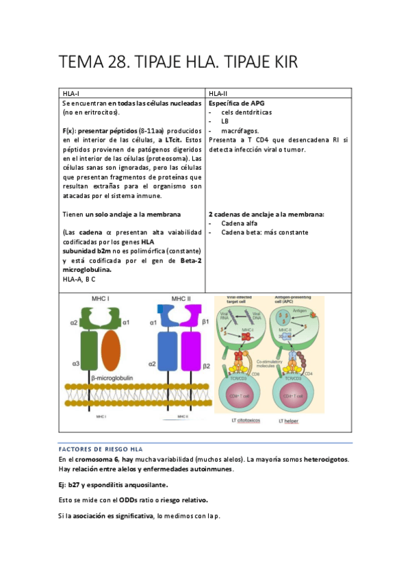 Miniatura del documento DIAGNOSTICO-173-178.pdf
