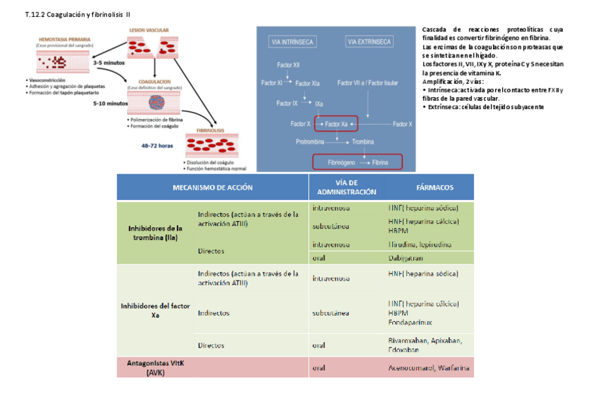 Miniatura del documento T.pdf