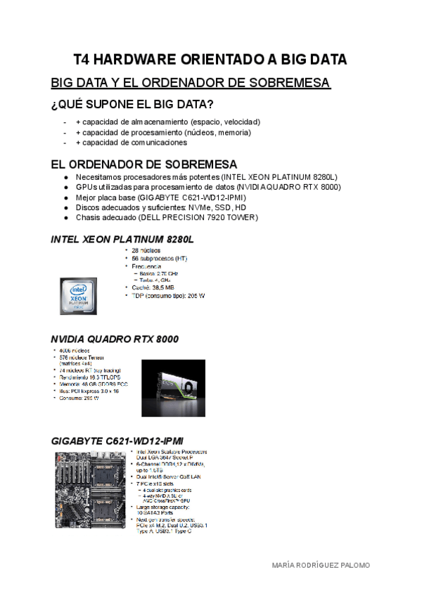 Miniatura del documento T4-HARDWARE-ORIENTADO-A-BIG-DATA.pdf