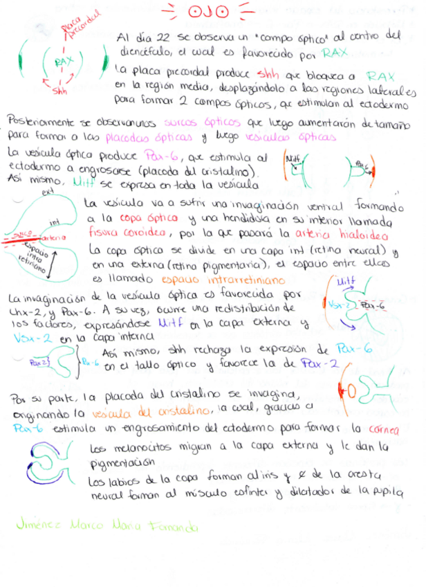 Miniatura del documento Ojo.pdf