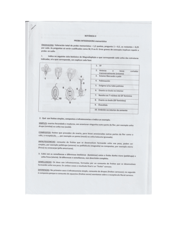 Miniatura del documento Bot-II-Visu-y-Prueba-integradora.pdf