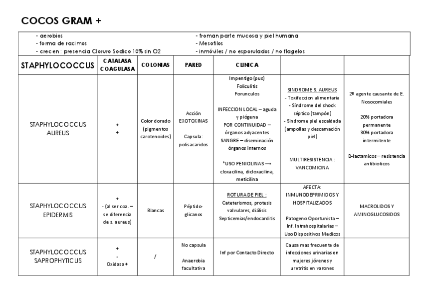 Miniatura del documento MICRO-finale.pdf
