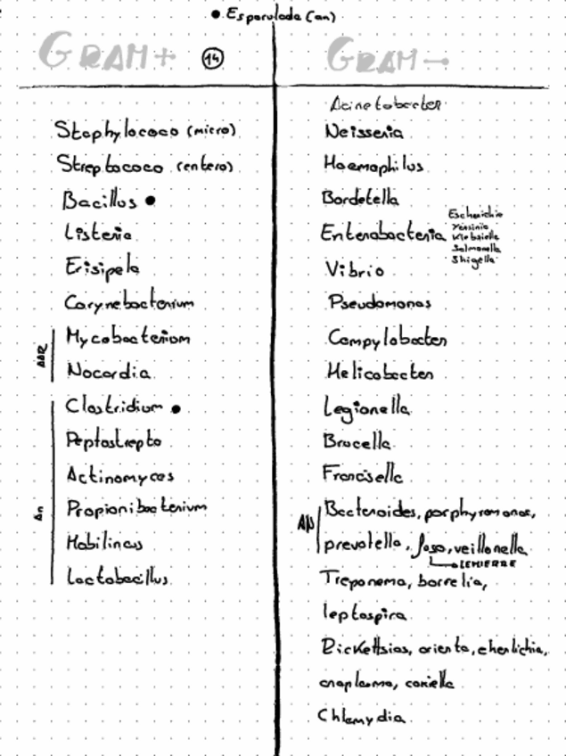 Miniatura del documento Res.pdf