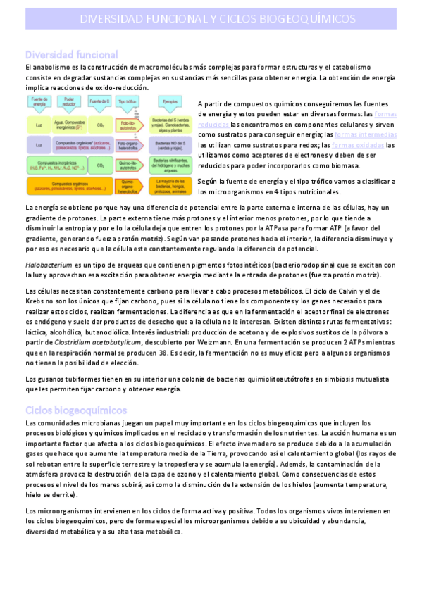 Miniatura del documento diversidad-funcional-y-ciclos-biogeoquimicos.pdf