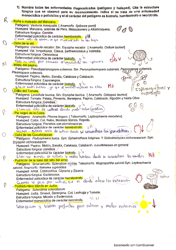 Miniatura del documento CamScanner-12-31-2021-08.pdf