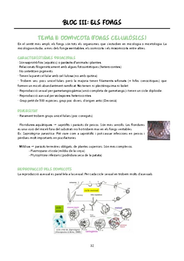 Miniatura del documento BLOC-III.pdf