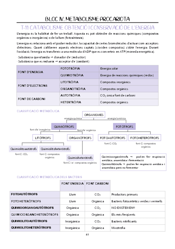 Miniatura del documento BLOC-IV-V.pdf