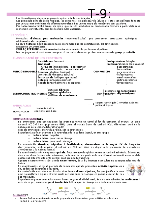 Miniatura del documento Apunts-T9-biomelements.docx