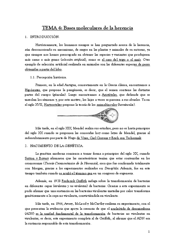 Miniatura del documento TEMA-4.pdf