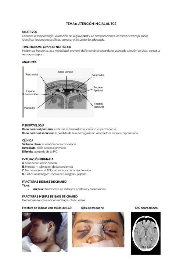 Miniatura del documento TEMA-8.pdf