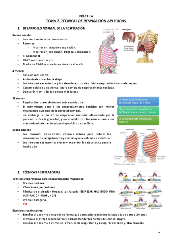 Miniatura del documento T7.pdf