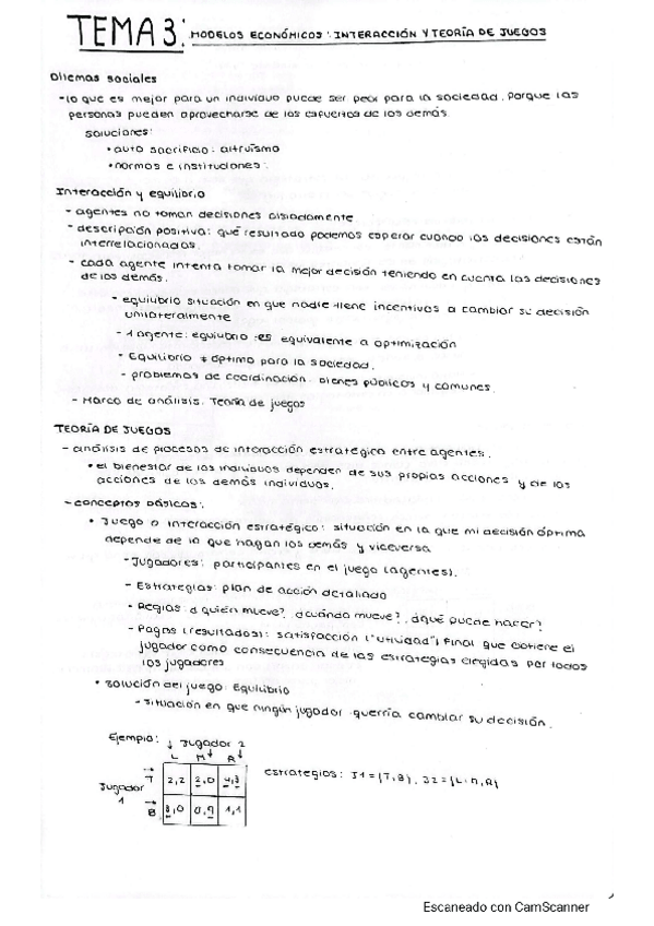 Miniatura del documento TEMA-3-MODELOS-ECONOMICOS-INTERACCION-Y-TEORIA-DE-JUEGOS.pdf