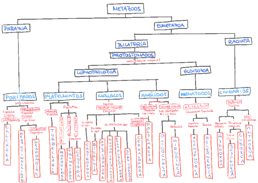 Miniatura del documento ESQUEMA-PRIMER-CUATRI.pdf
