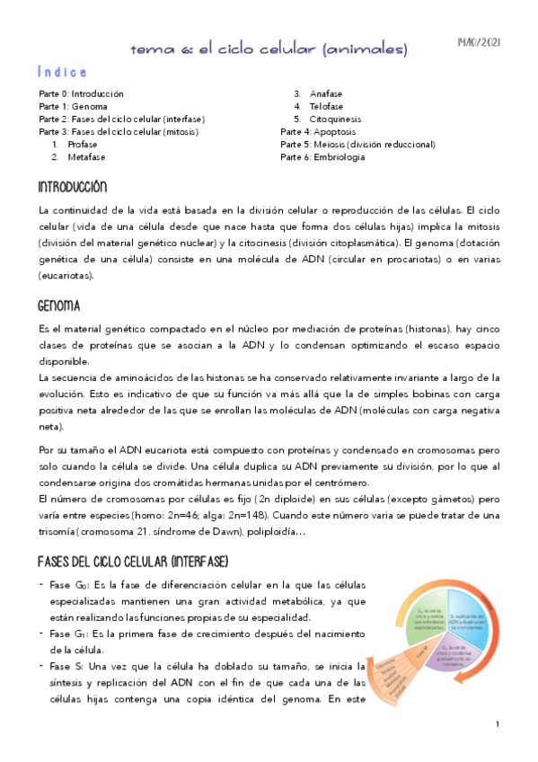 Miniatura del documento TEMA-6.pdf