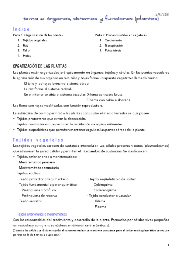 Miniatura del documento TEMA-6.pdf