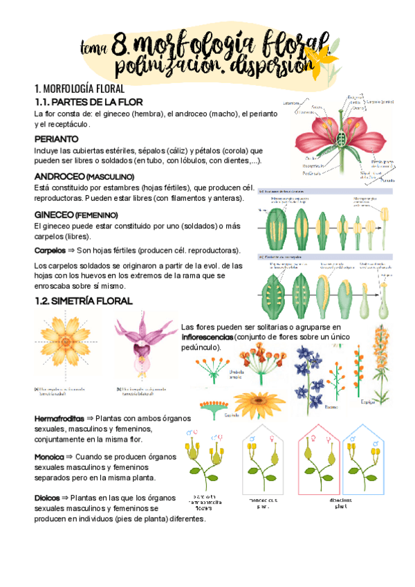 Miniatura del documento Tema-8.pdf