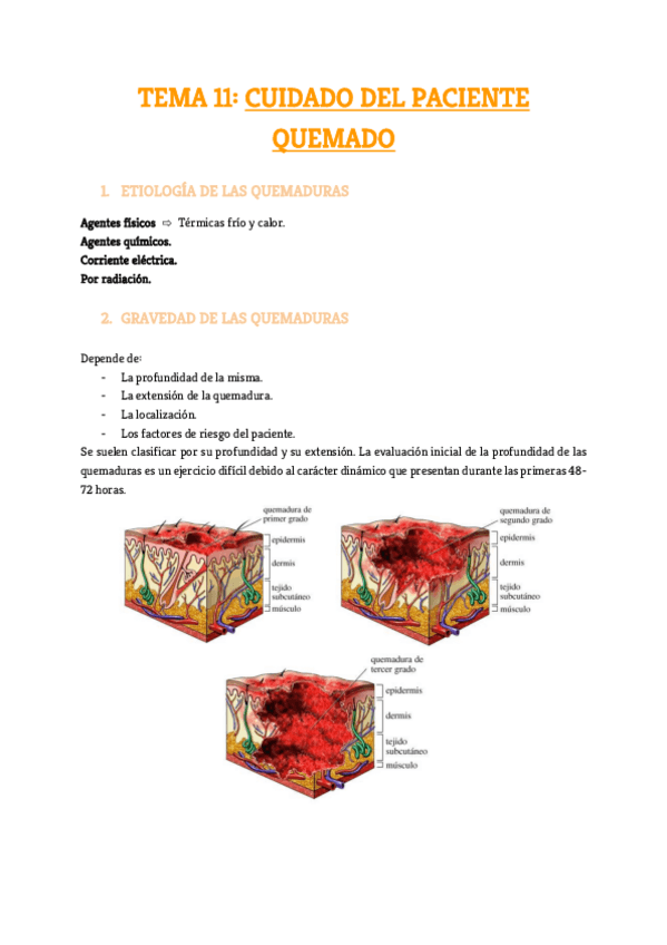 Miniatura del documento Tema-11.pdf