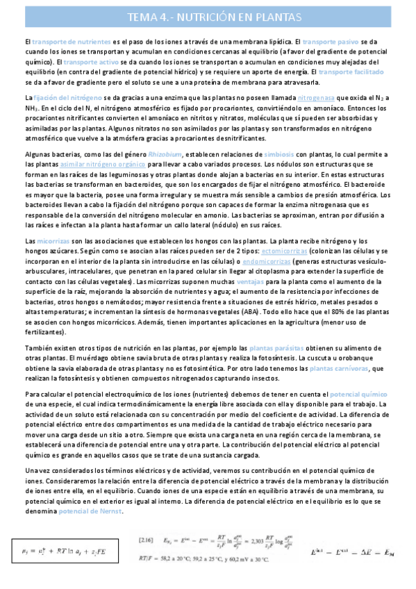 Miniatura del documento nutricion-en-plantastema-4.pdf