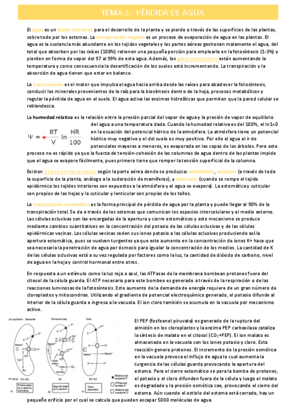Miniatura del documento perdida-de-aguatema-3.pdf