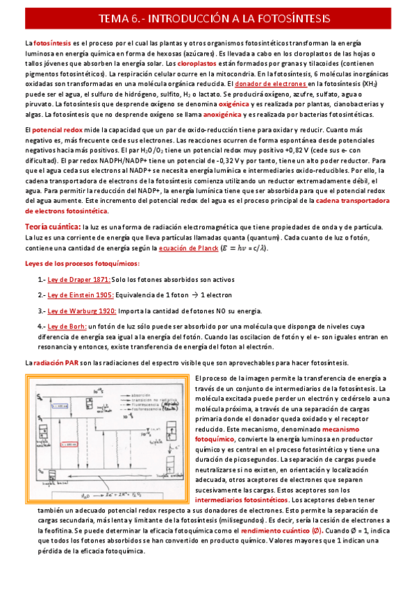 Miniatura del documento introduccion-a-la-fotosintesistema-6.pdf