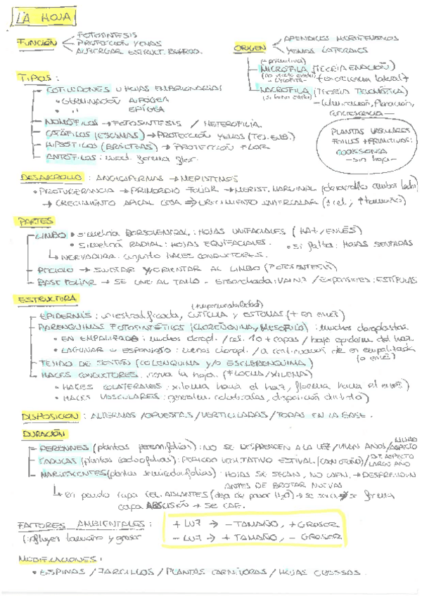 Miniatura del documento MEGA-RESUMEN-2oCUATRI.pdf