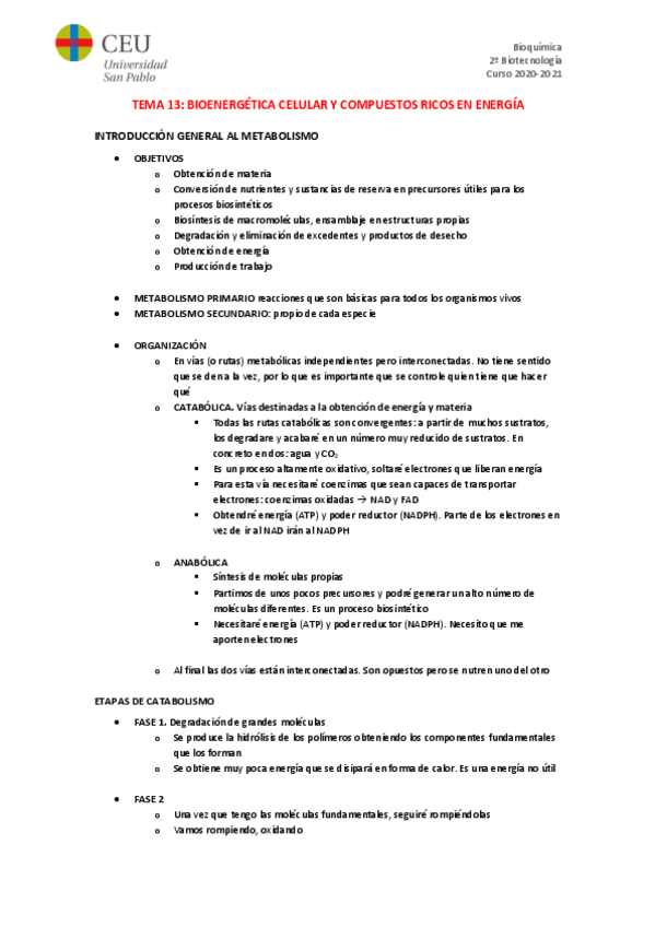 Miniatura del documento TEMA-13.pdf