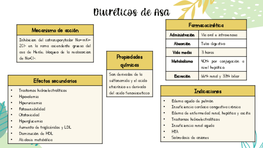 Miniatura del documento Diureticos-de-Asa.pdf