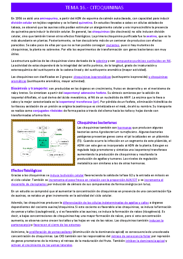 Miniatura del documento citoquininastema-16.pdf