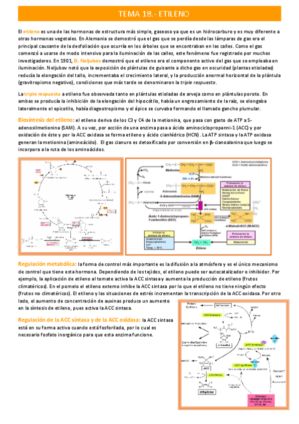Miniatura del documento etilenotema-18.pdf