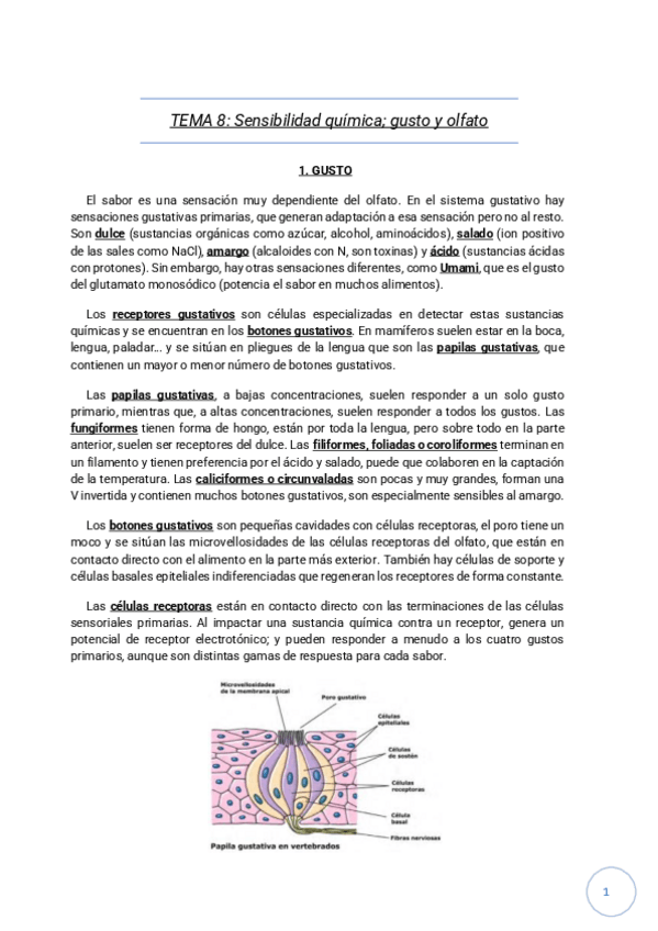 Miniatura del documento Temas-8-9-10-11.pdf