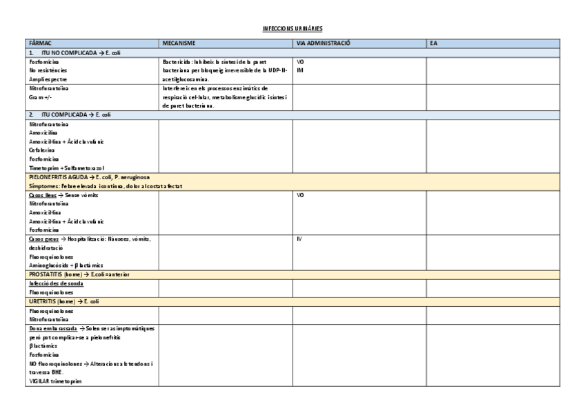 Miniatura del documento INFECCIONS-URINARIES.pdf