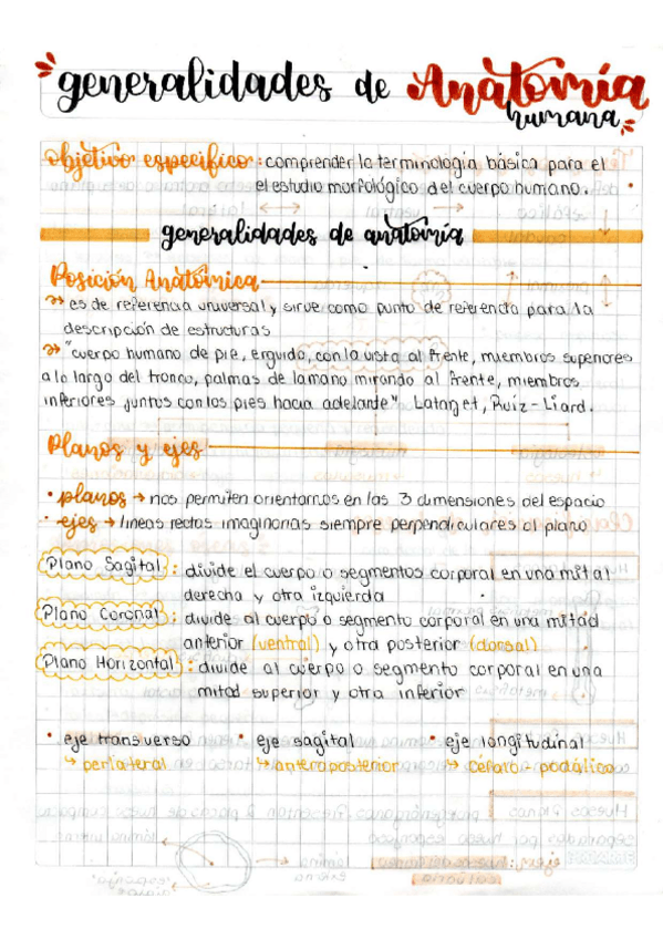 Miniatura del documento Generalidades-de-la-Anatomia-Humana.pdf