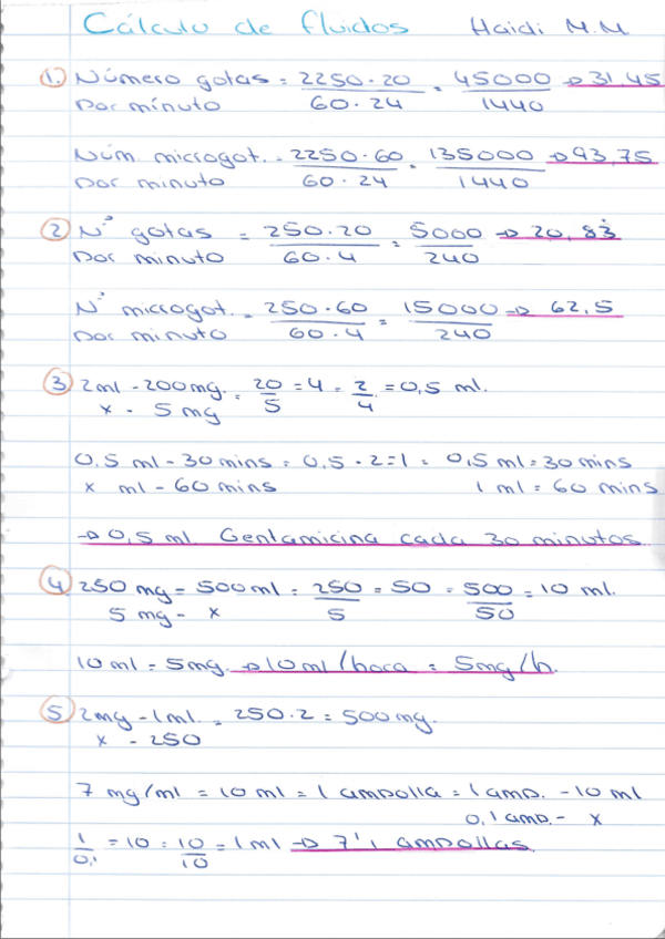 Miniatura del documento Act-Calculo-Fluidos-Enric.pdf