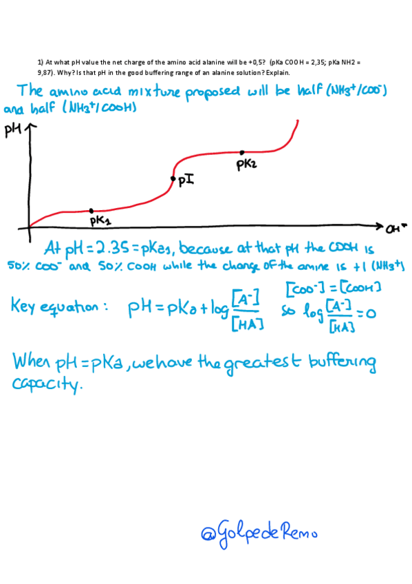 Miniatura del documento Solved-Biochemistry-Course-Review.pdf