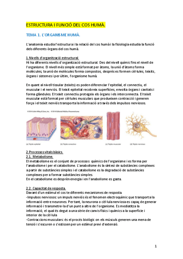 Miniatura del documento ESTRUCTURA-I-FUNCIO-DEL-COS-HUMA.pdf