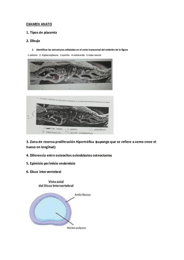 Miniatura del documento QUINIELA-ANATO.pdf
