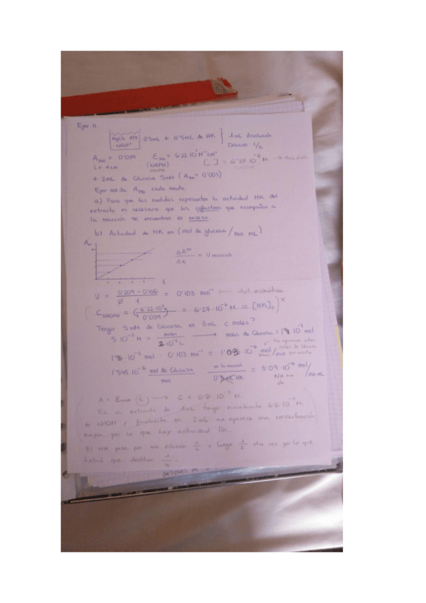 Miniatura del documento Tema-2-Metodos-I.pdf