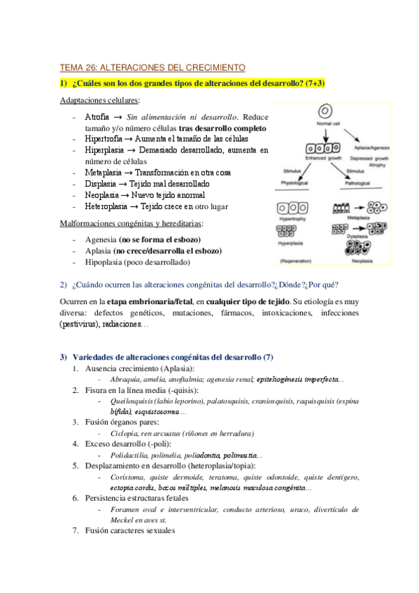 Miniatura del documento Apuntes-formato-preguntas-APG-2o-cuatri.pdf